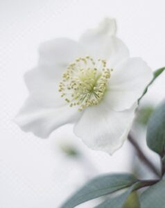 gosia-oledzka-sAyuBLDjIlw-unsplash