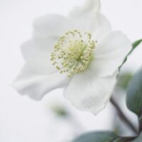 gosia-oledzka-sAyuBLDjIlw-unsplash gosia-oledzka-sAyuBLDjIlw-unsplash